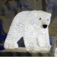 /album/photogallery/polar-bear-1-jpg/